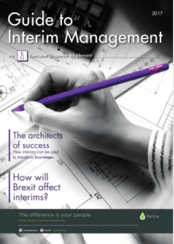 Interim Management, Interim Executive, Temporary Executive